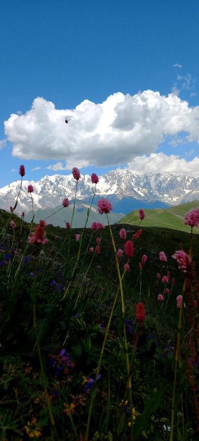 Ushguli Hotel Riho Buitenkant foto